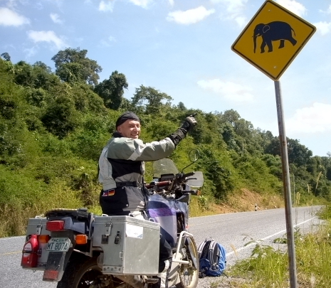 elephants on cambodias roads.JPG